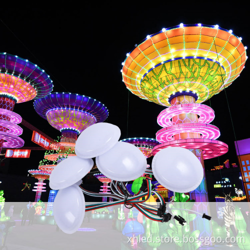 LED Amusement Park Light Decoration - 60mm 5050RGB 2W DC12V Decorative Lights